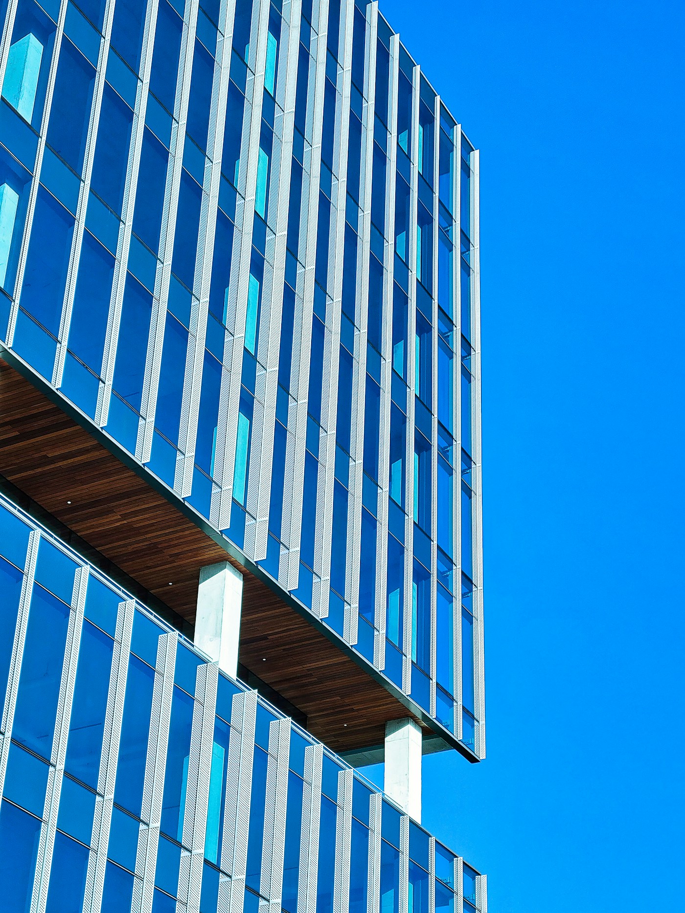 Clean lines of contemporary glass architecture against a blue sky